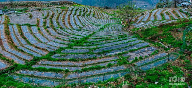 亿彩五分快三计划丙察察线进藏记实(持续更新)