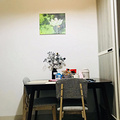鿴ß