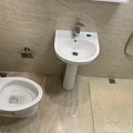 鿴ß