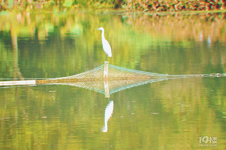 NNĵҲһɫ