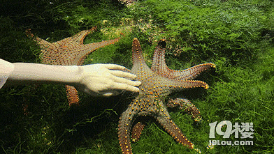 第二波特價(jià)來(lái)啦！59.9元暢玩江和美海洋公園，下雨天遛娃首選！
