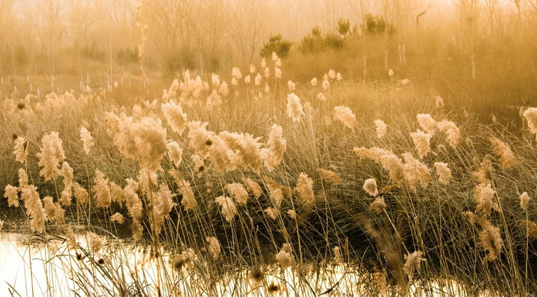 ɫຼpȥ@ƪ͉ˣ