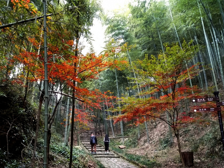 ɫຼpȥ@ƪ͉