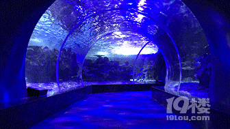 第二波特價(jià)來(lái)啦！59.9元暢玩江和美海洋公園，下雨天遛娃首選！