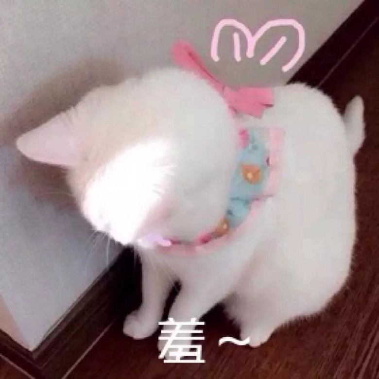 ʷNĵĵpʮһ?ci)gӭI(y)