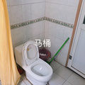 鿴ß
