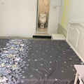 鿴ß