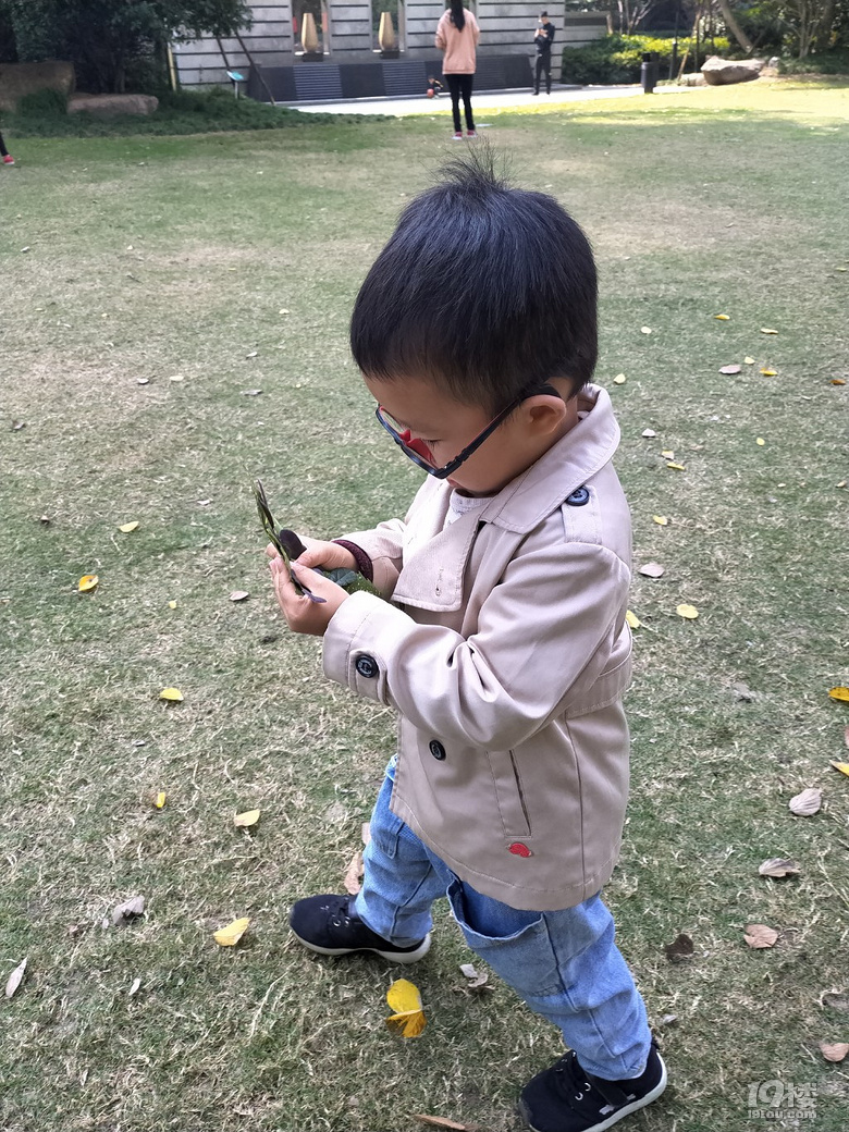 竞彩投注app_【陪娃做作业】为娘做完树叶贴画,娃说他的呢?然后又做了一份!