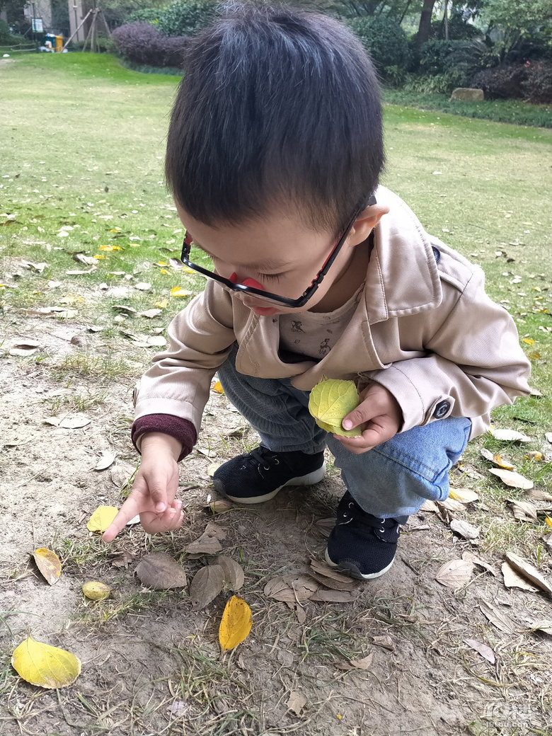 竞彩投注app_【陪娃做作业】为娘做完树叶贴画,娃说他的呢?然后又做了一份!