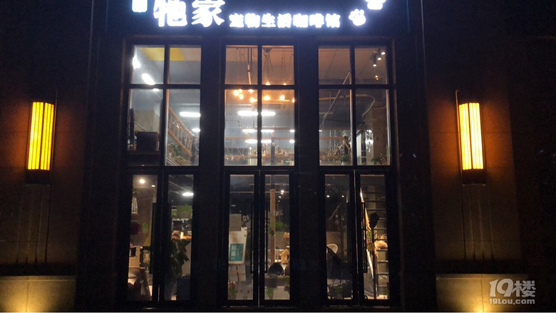 鿴ԭD