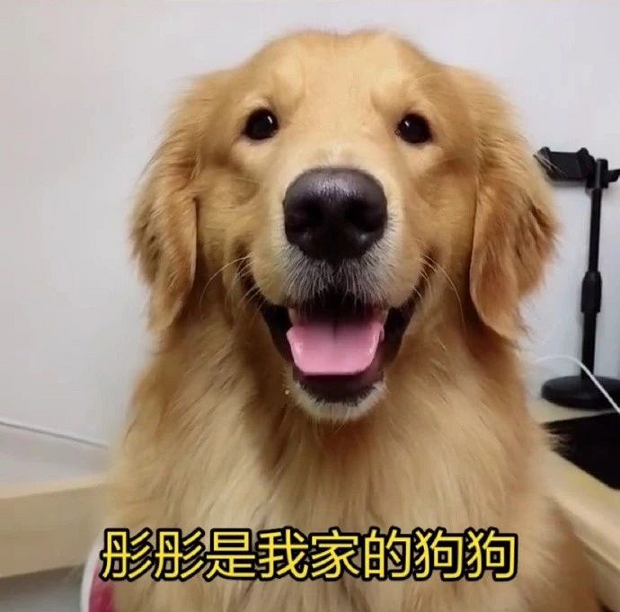 B(yng)֮֋΢W(wng)ѿ...