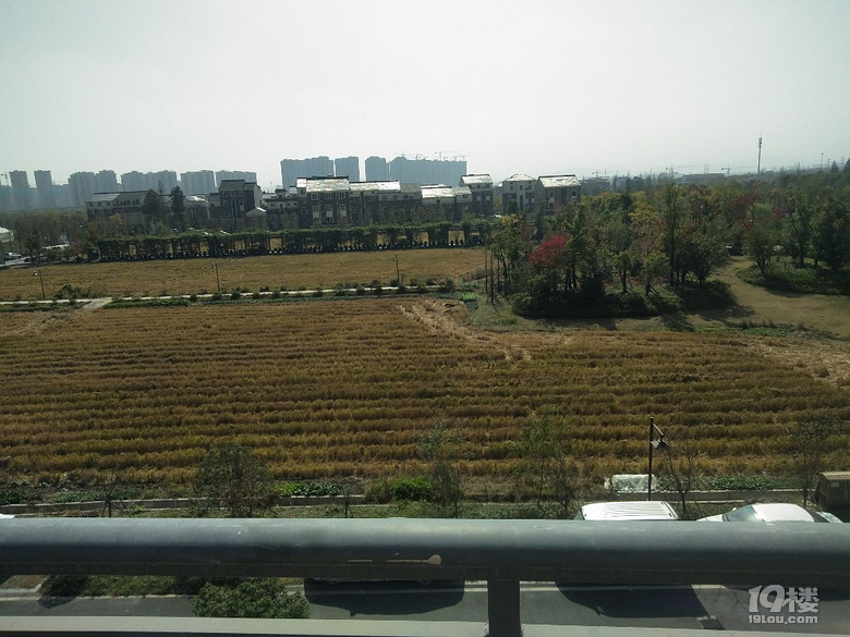 鿴ԭD
