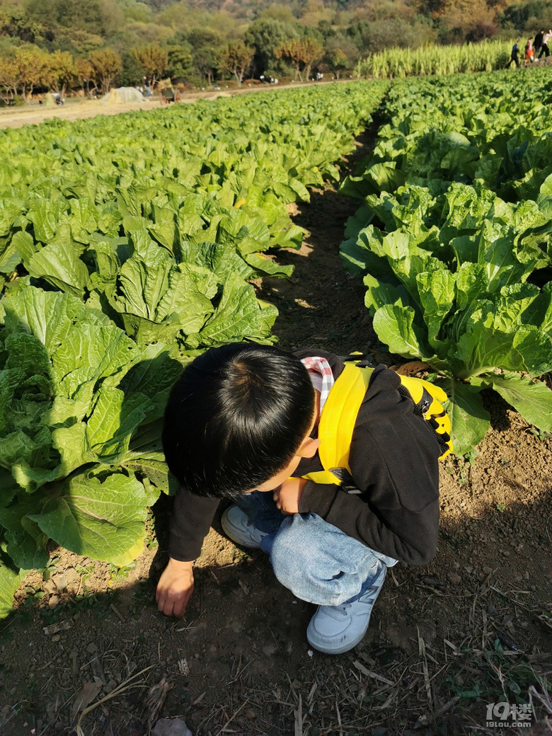 【萌娃秋游啦】+親子游八卦田