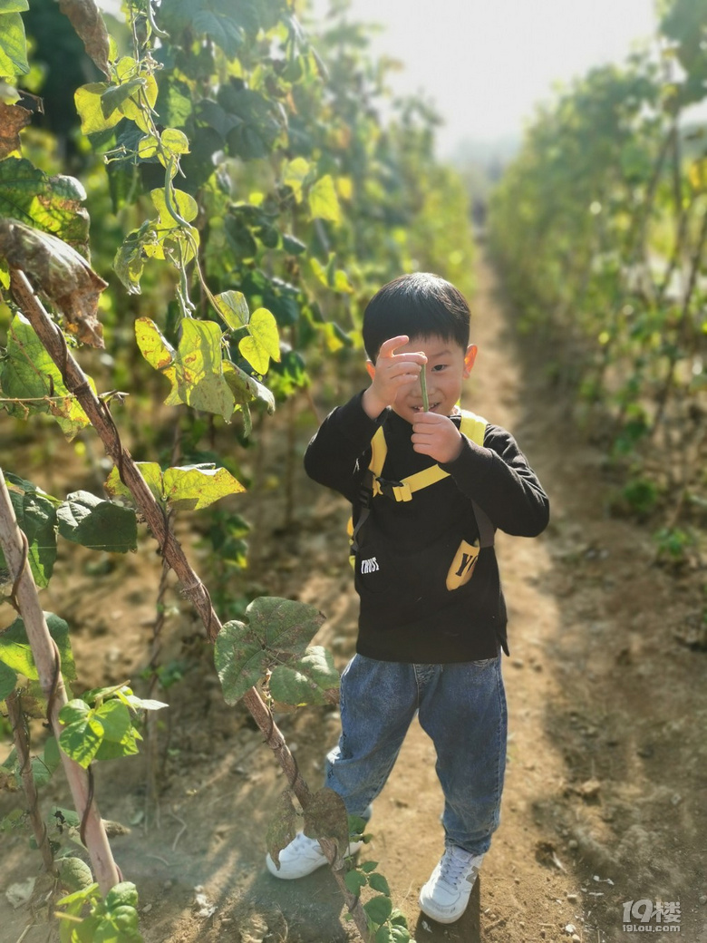 【萌娃秋游啦】+親子游八卦田