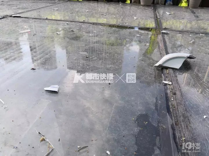 天降瓷碗!杭州一楼老张告了33个邻居