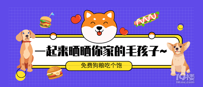 【福利來啦】我家狗子4條腿，一進(jìn)廚房...就只剩2條腿了？