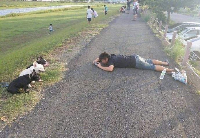 自己拍狗和媽媽拍狗，隔了一個(gè)年代的距離……