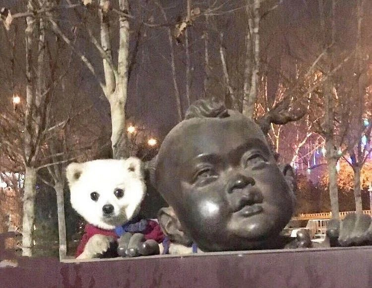 自己拍狗和媽媽拍狗，隔了一個(gè)年代的距離……
