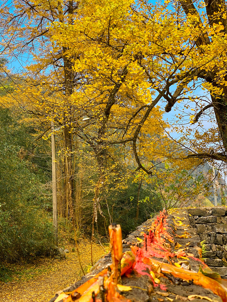 ຼ^(q)̩l(xing)ϷXһʧĴf