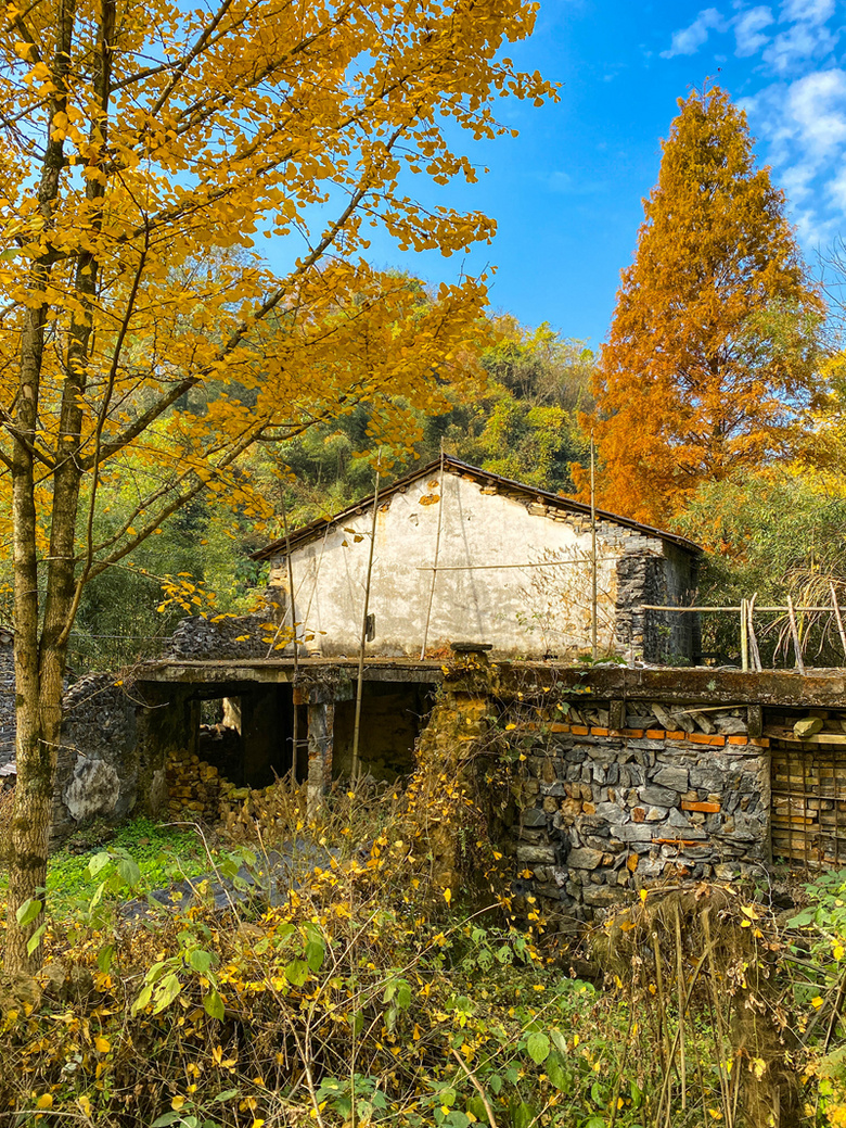 ຼ^(q)̩l(xing)ϷXһʧĴf