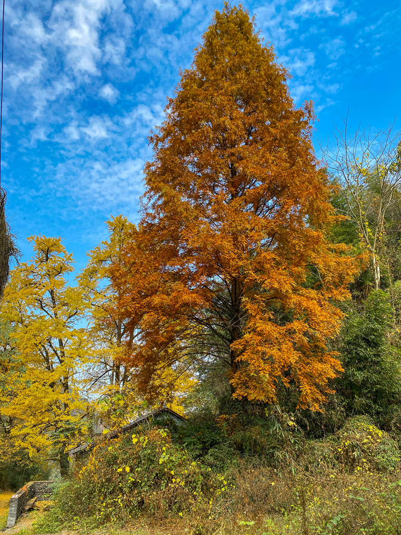 ຼ^(q)̩l(xing)ϷXϣһʧĴf