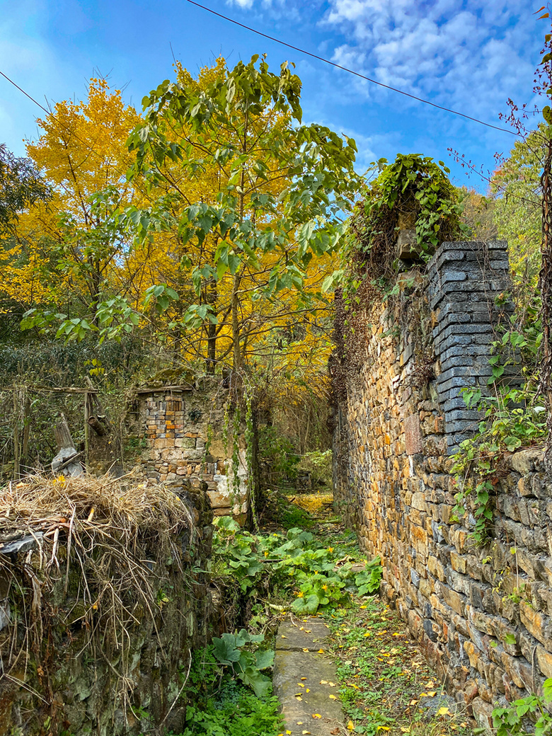 ຼ^(q)̩l(xing)ϷXһʧĴf