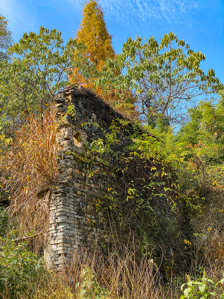 ຼ^(q)̩l(xing)ϷXһʧĴf