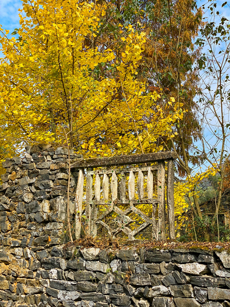 ຼ^(q)̩l(xing)ϷXһʧĴf