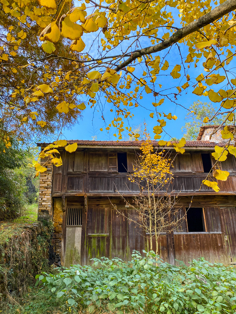 ຼ^(q)̩l(xing)ϷXһʧĴf