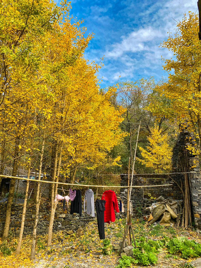 ຼ^(q)̩l(xing)ϷXһʧĴf