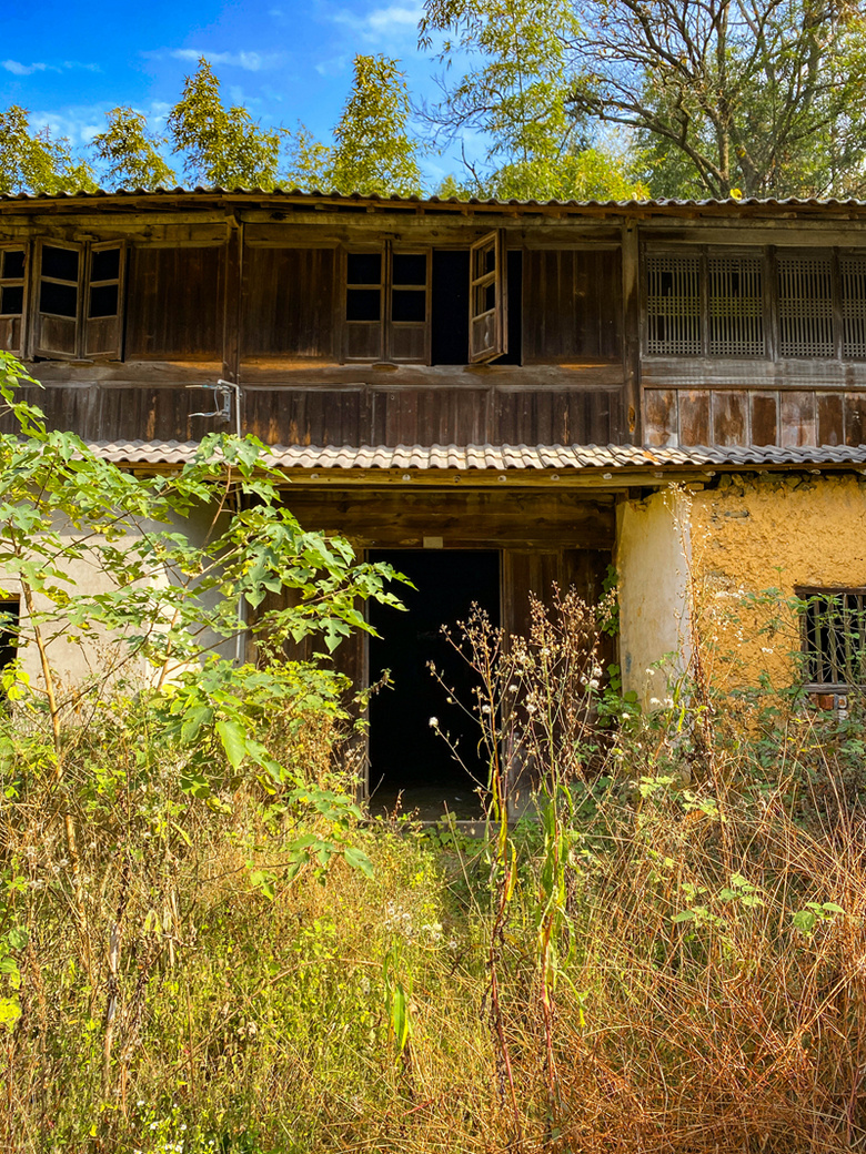 ຼ^(q)̩l(xing)ϷXһʧĴf