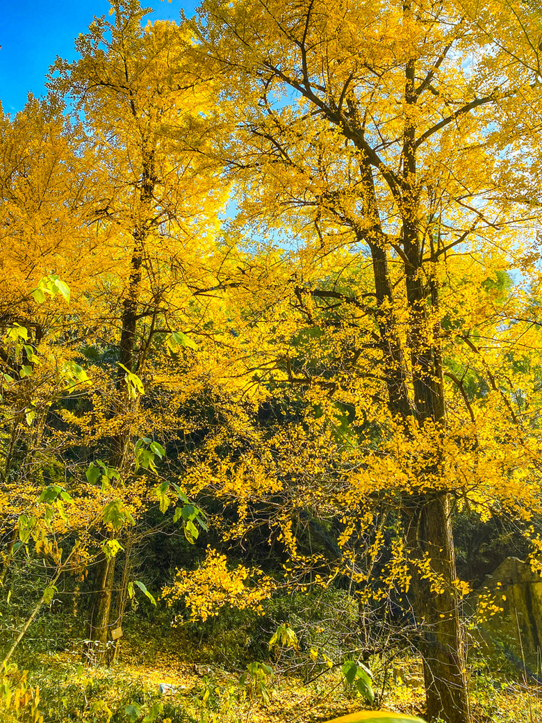 ຼ^(q)̩l(xing)ϷXһʧĴf