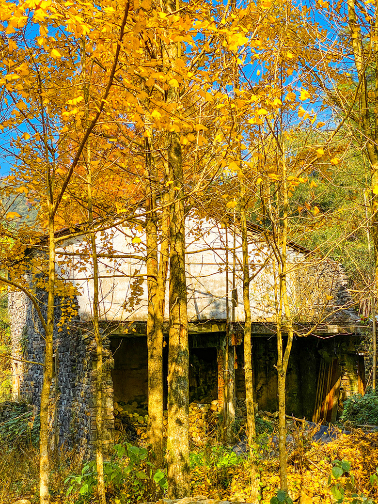 ຼ^(q)̩l(xing)ϷXһʧĴf