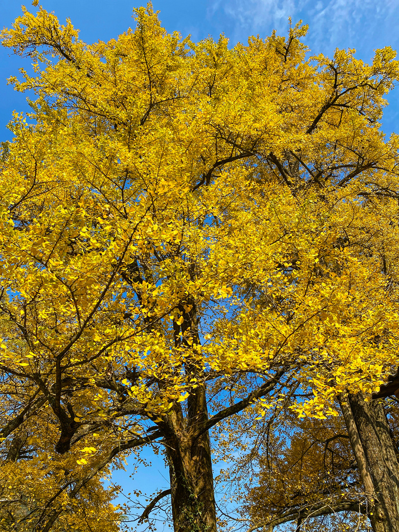 ຼ^(q)̩l(xing)ϷXϣһʧĴf