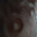 鿴ß