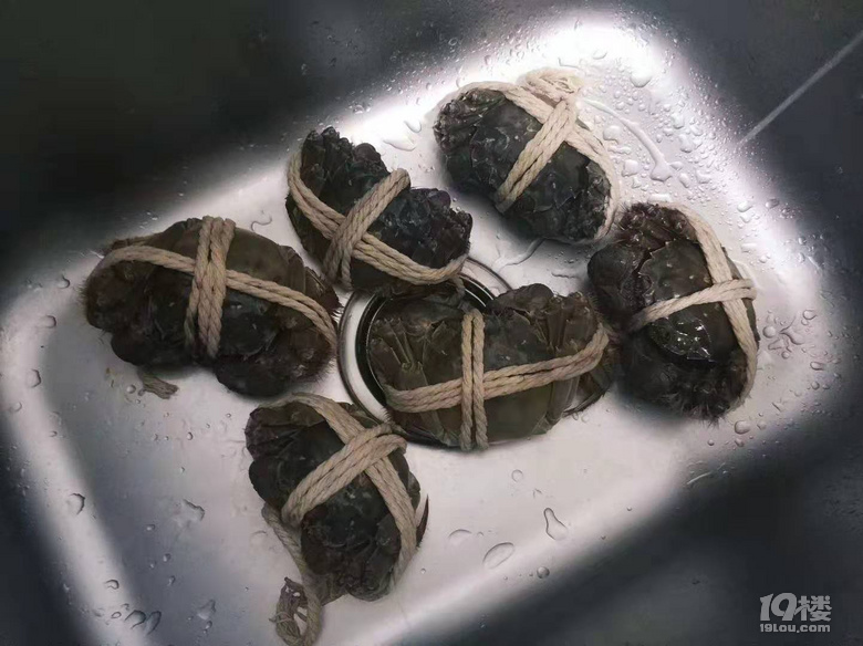 很認(rèn)真求問(wèn)，大家都怎么殺螃蟹的，每次燒螃蟹都感覺(jué)很殘忍