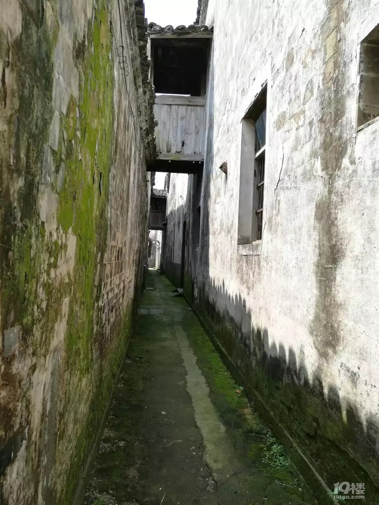 ĩȥă^ÿһlй°ɣ