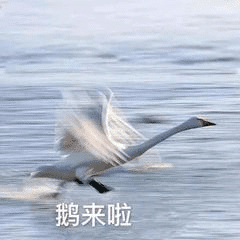 11月抽獎名單公布啦！