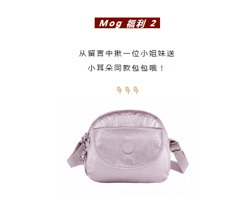 11月抽獎名單公布啦！