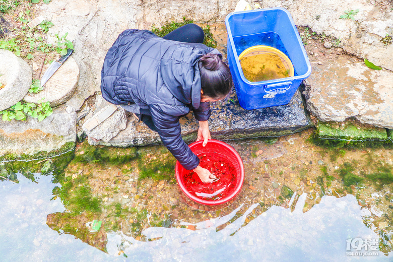 360买彩票安全吗_这儿没有秋天,水比九寨沟还美-走桂、粤、湘三角地(更新中)