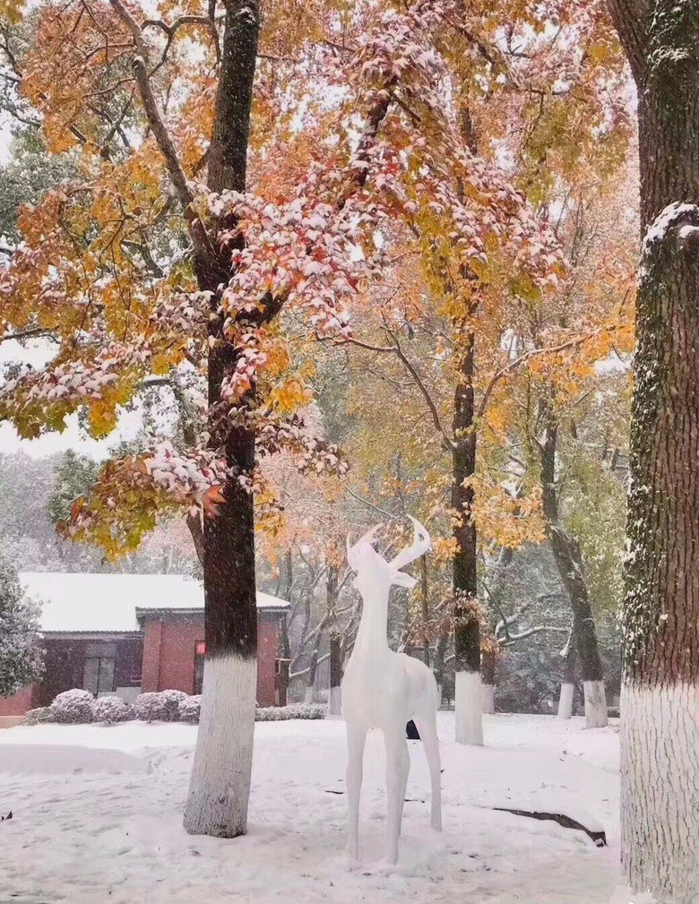 年度最不正經(jīng)雪人大賽，看完給跪了哈哈哈哈哈