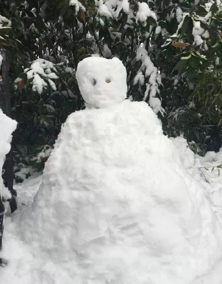 年度最不正經(jīng)雪人大賽，看完給跪了哈哈哈哈哈