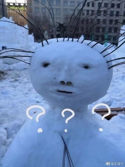年度最不正經(jīng)雪人大賽，看完給跪了哈哈哈哈哈