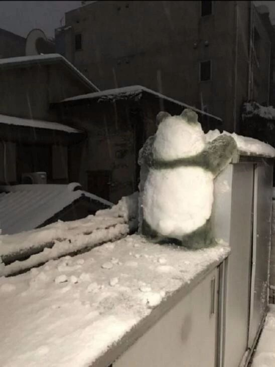 年度最不正經(jīng)雪人大賽，看完給跪了哈哈哈哈哈