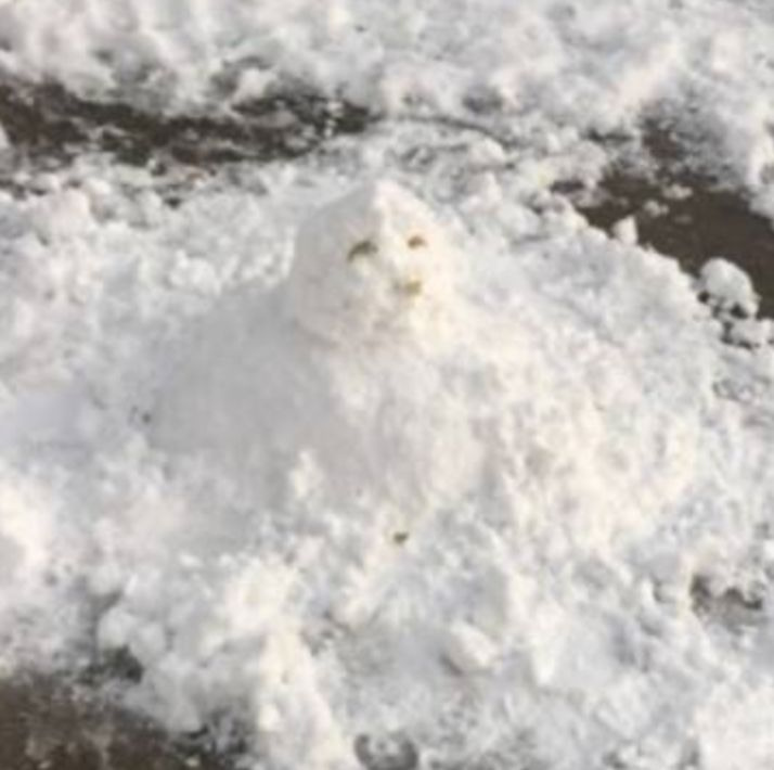 年度最不正經(jīng)雪人大賽，看完給跪了哈哈哈哈哈