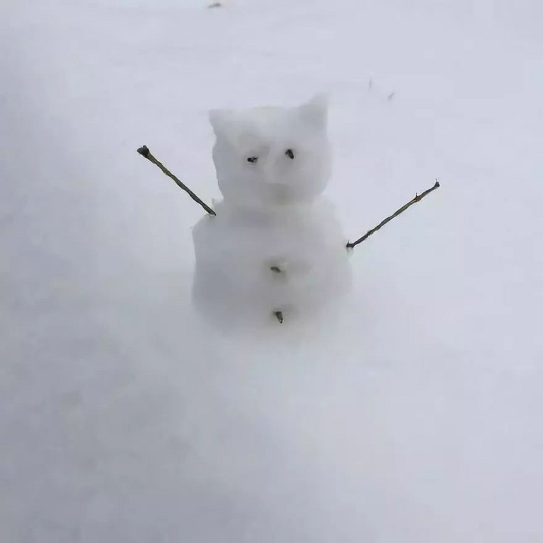 年度最不正經(jīng)雪人大賽，看完給跪了哈哈哈哈哈