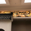 鿴ß