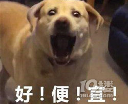 一聽到李佳琦“所有女生”就想買，這病還有救嗎？！