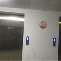 鿴ß