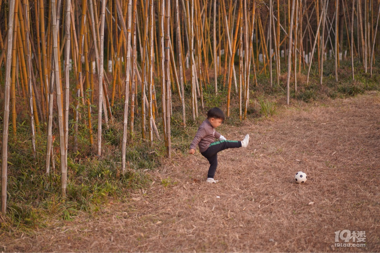 @ô12.14´򿨣^m(x)޹@Ұͻ